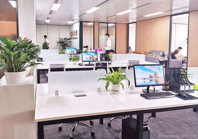 鑫眾瑞(廈門)信息咨詢服務(wù)——助力企業(yè)高效決策與發(fā)展的專業(yè)伙伴